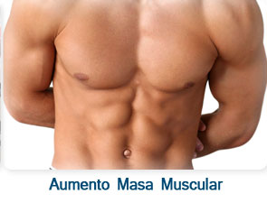 Aumento Masa Muscular / Hipertrofia Muscular